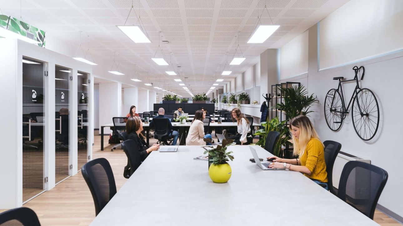 Rosalia Coworking Vigo 2