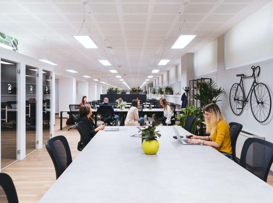 Rosalia Coworking Vigo 2